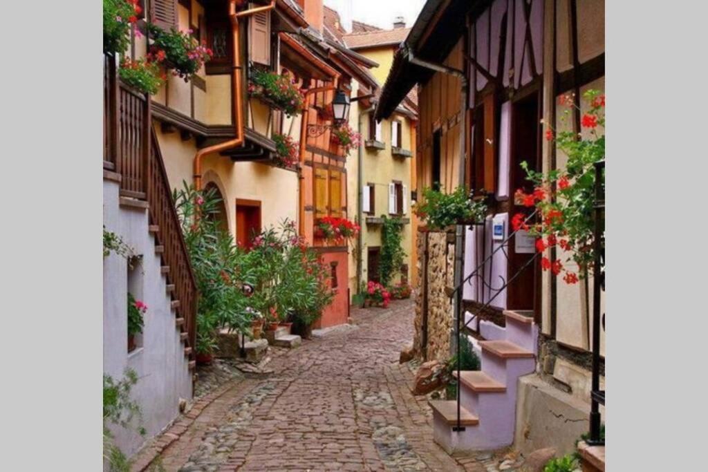 Gite A Eguisheim Proche De Colmar Et Kaysergberg. Exterior photo